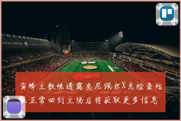黄蜂主教练透露克尼佩尔X光检查结果正常回到主场后将获取更多信息