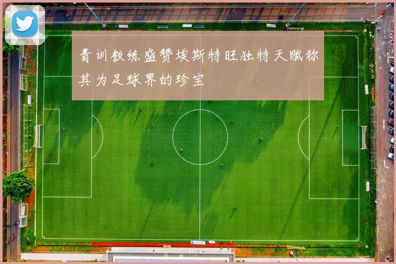 青训教练盛赞埃斯特旺独特天赋称其为足球界的珍宝