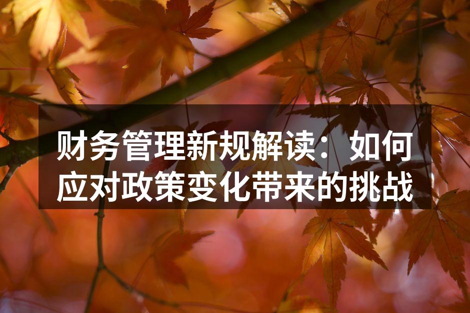 财务管理新规解读：如何应对政策变化带来的