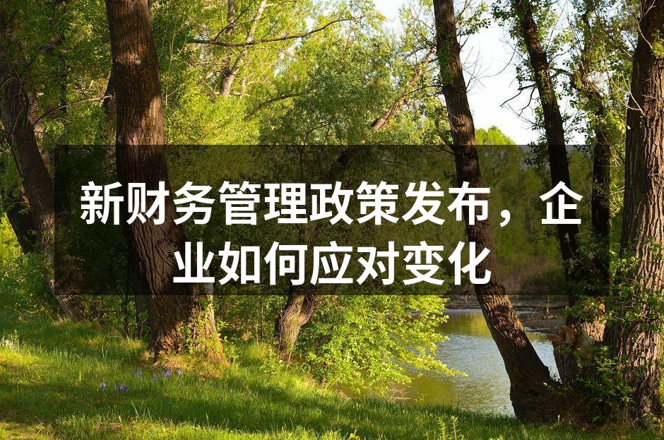 新财务管理政策发布，企业如何应对变化